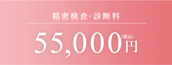 精密検査・診断料 55,000円